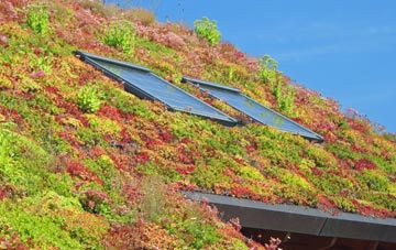 Wester Balgedie living roof systems