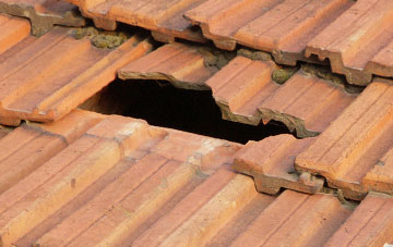 roof repair Wester Balgedie, Perth And Kinross